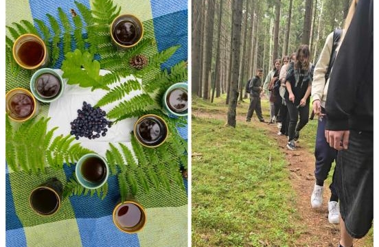 Mokinių trumpalaikių projektinių darbų veiklos