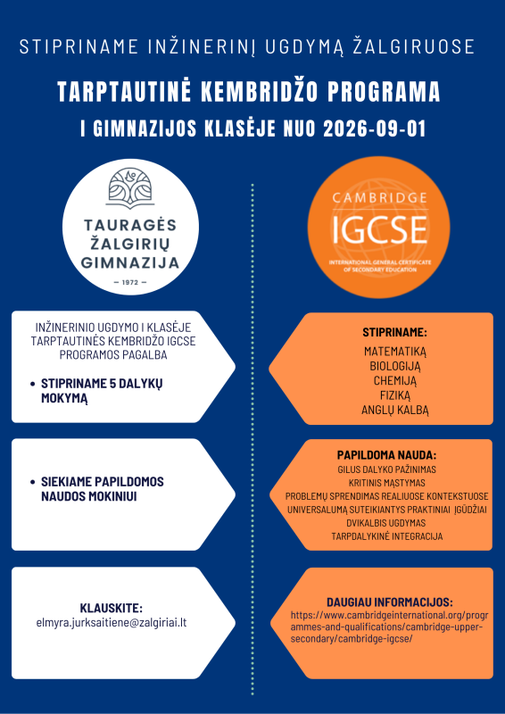 Tarptautinė programa